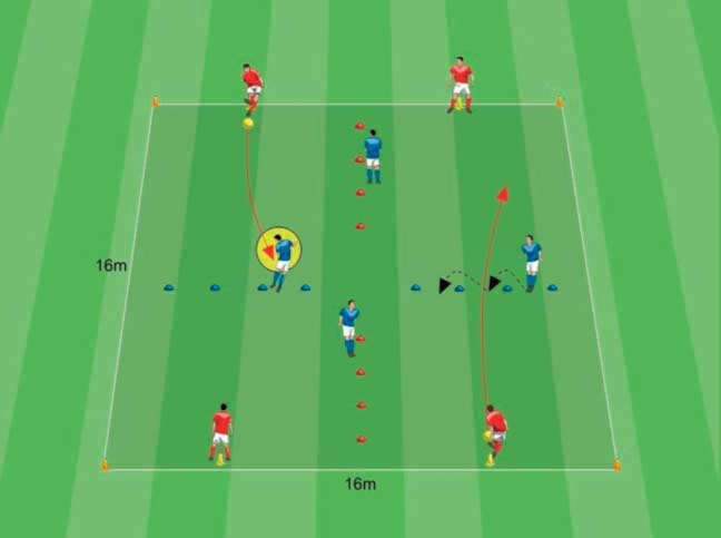 Organizzazione e struttura delle sedute di allenamento individuali 
