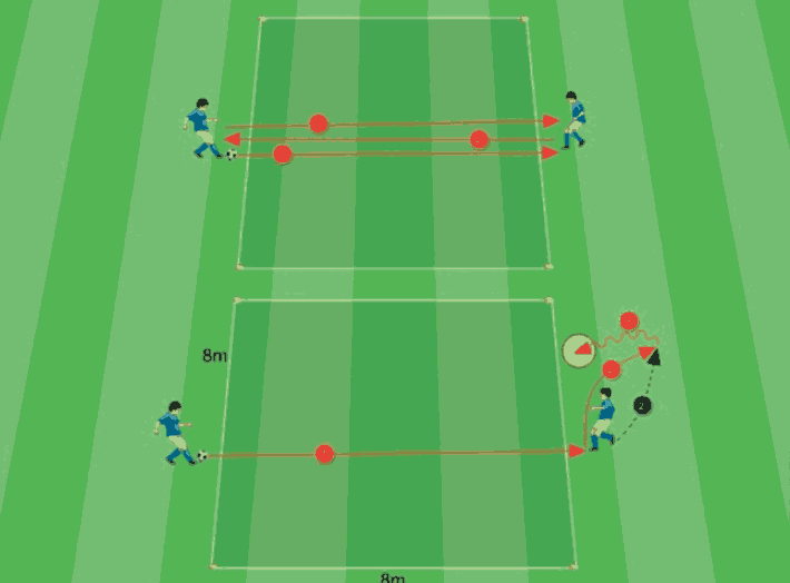 1.2. Proposta di pre-allenamento per la Categoria Pulcini (U10/U11) 
