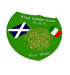 The Italian Celts